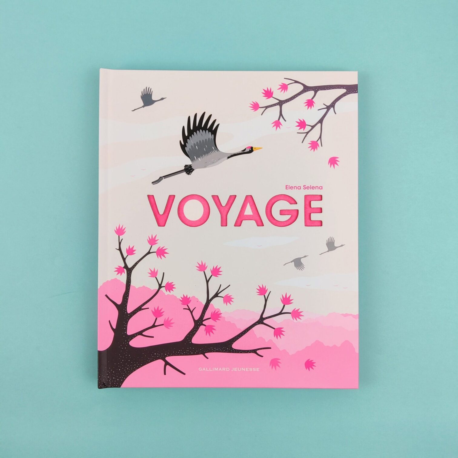 Voyage