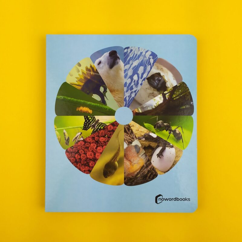 Los ciclos de la vida