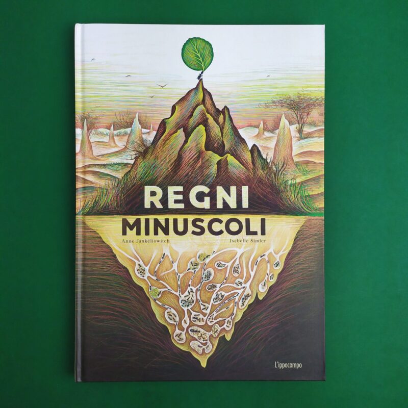 Regni minuscoli