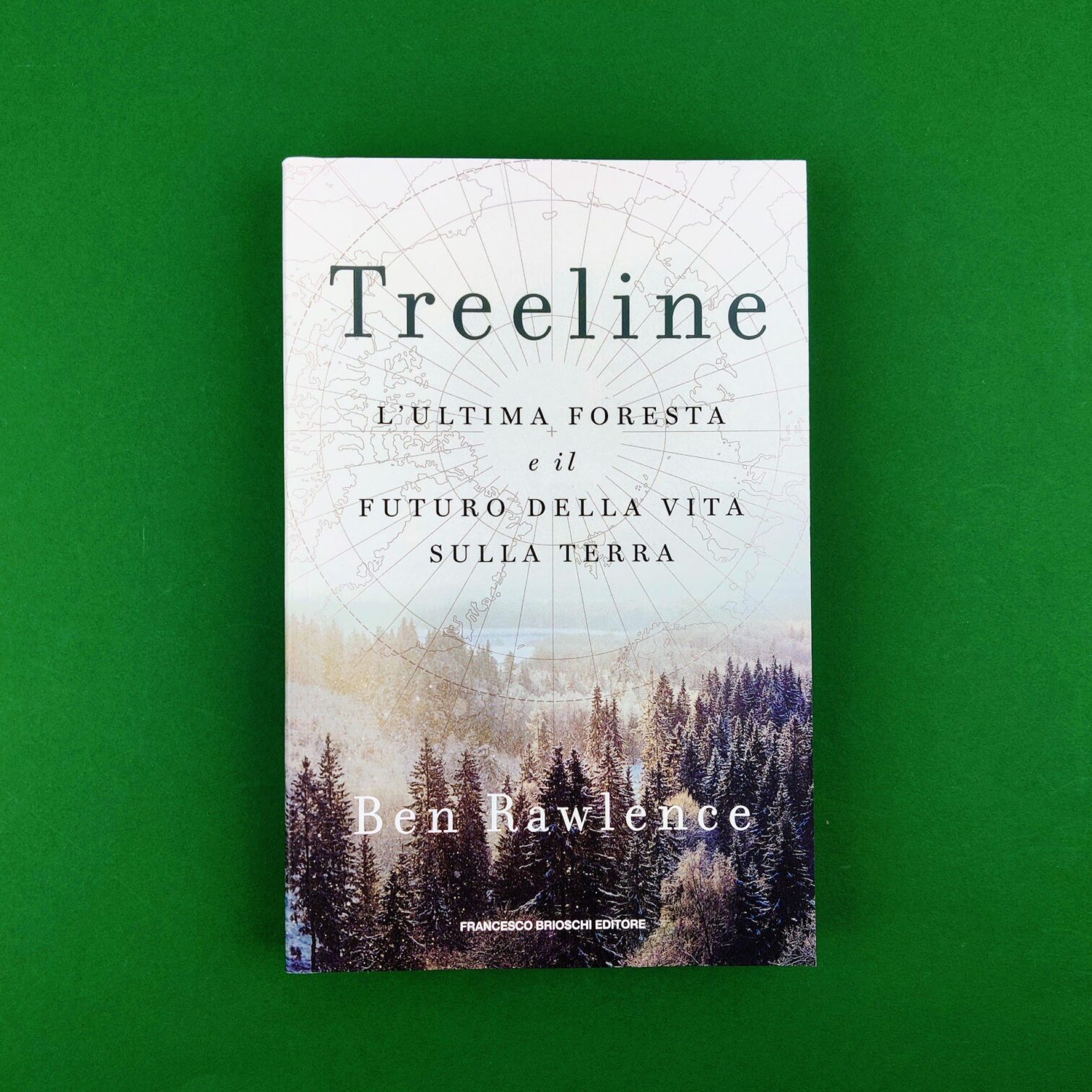 Treeline