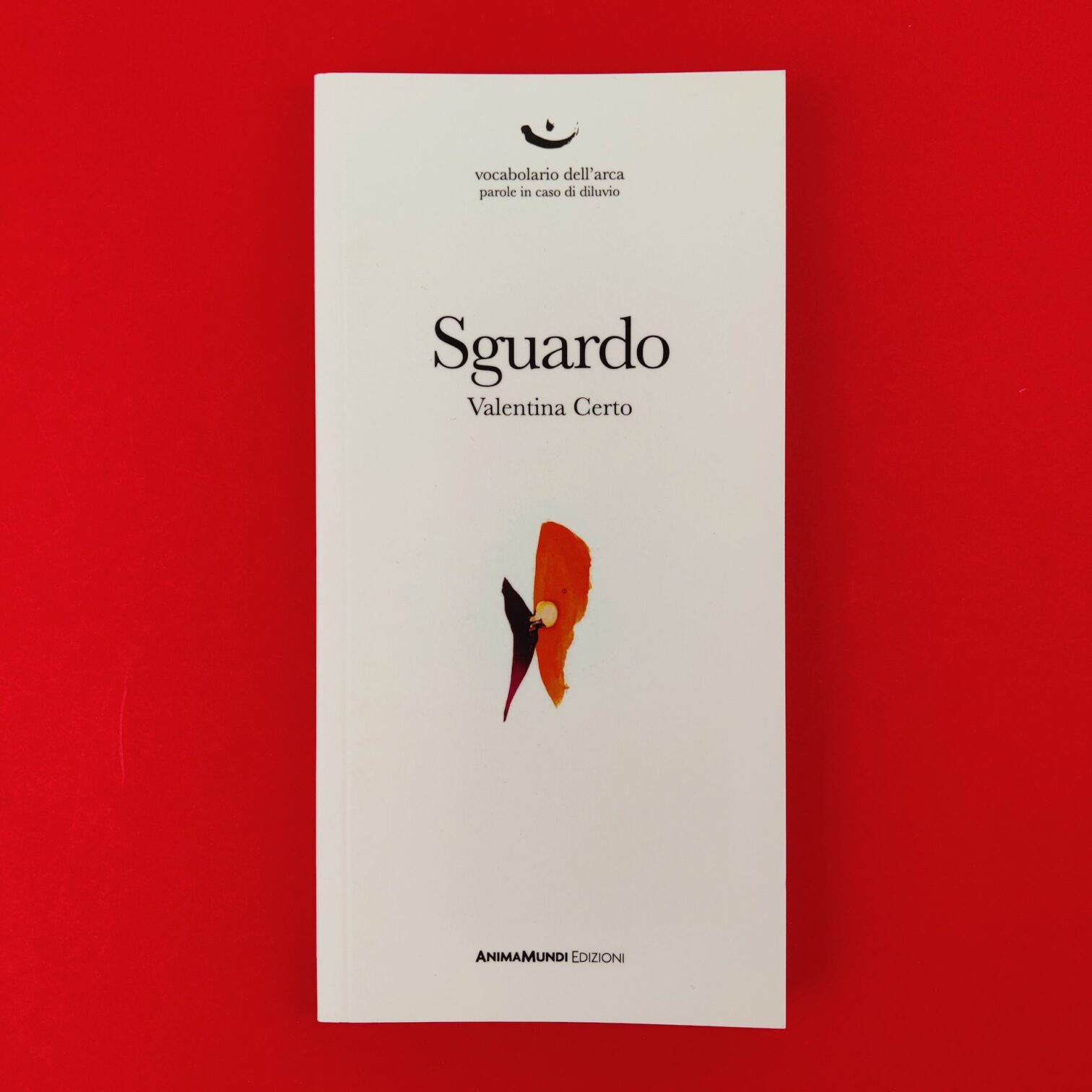 Sguardo