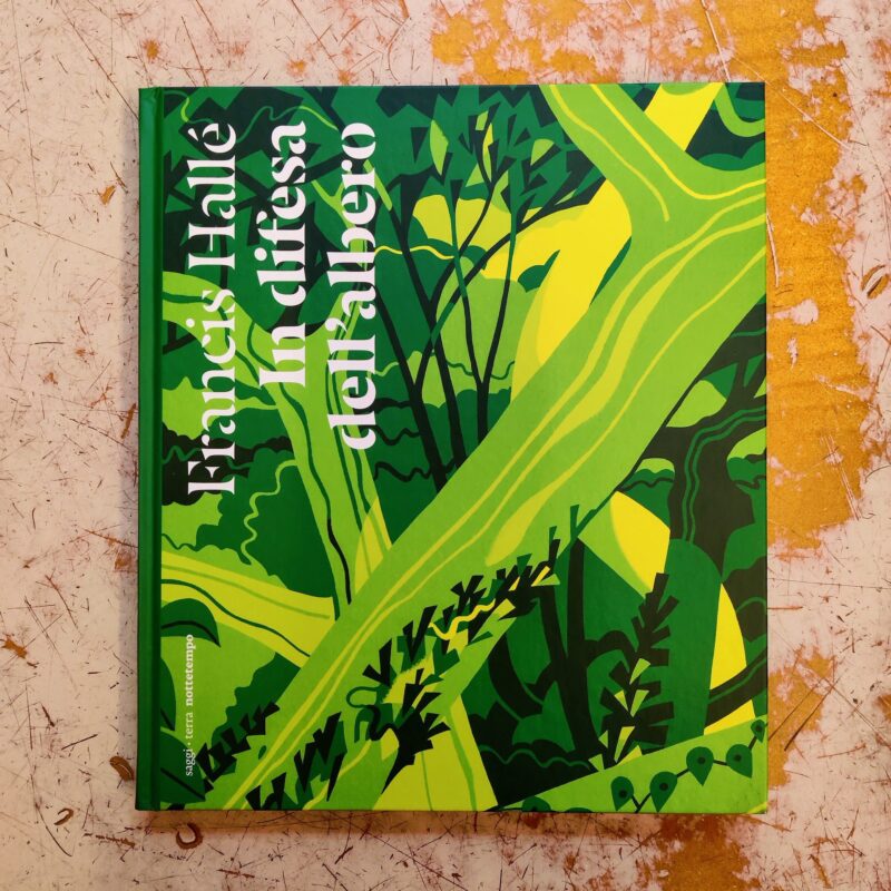 In difesa dell’albero