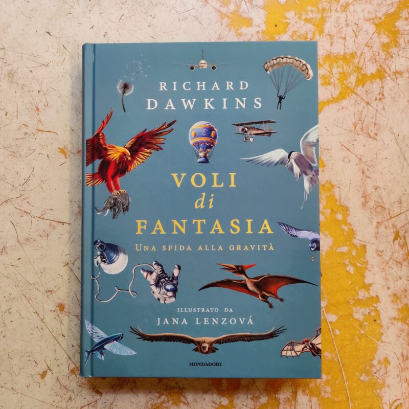Voli di fantasia