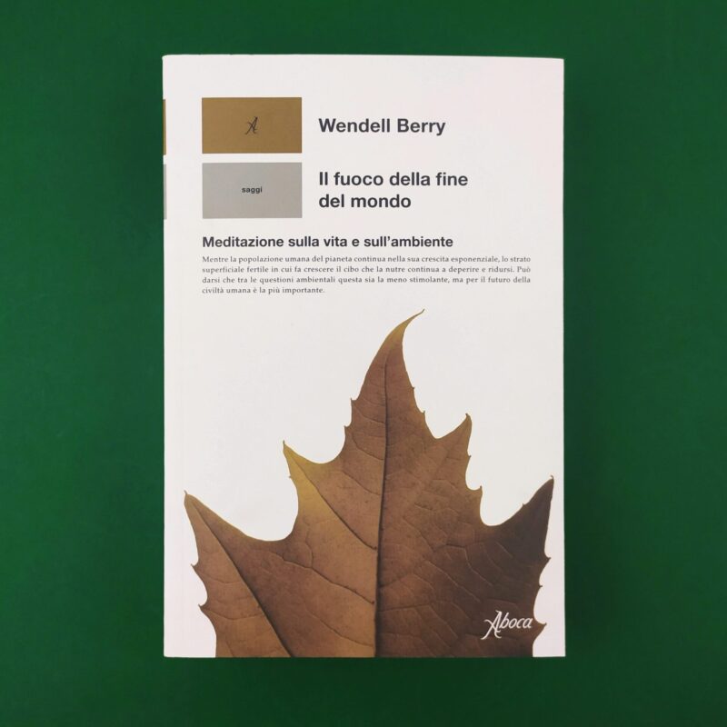 Il fuoco della fine del mondo