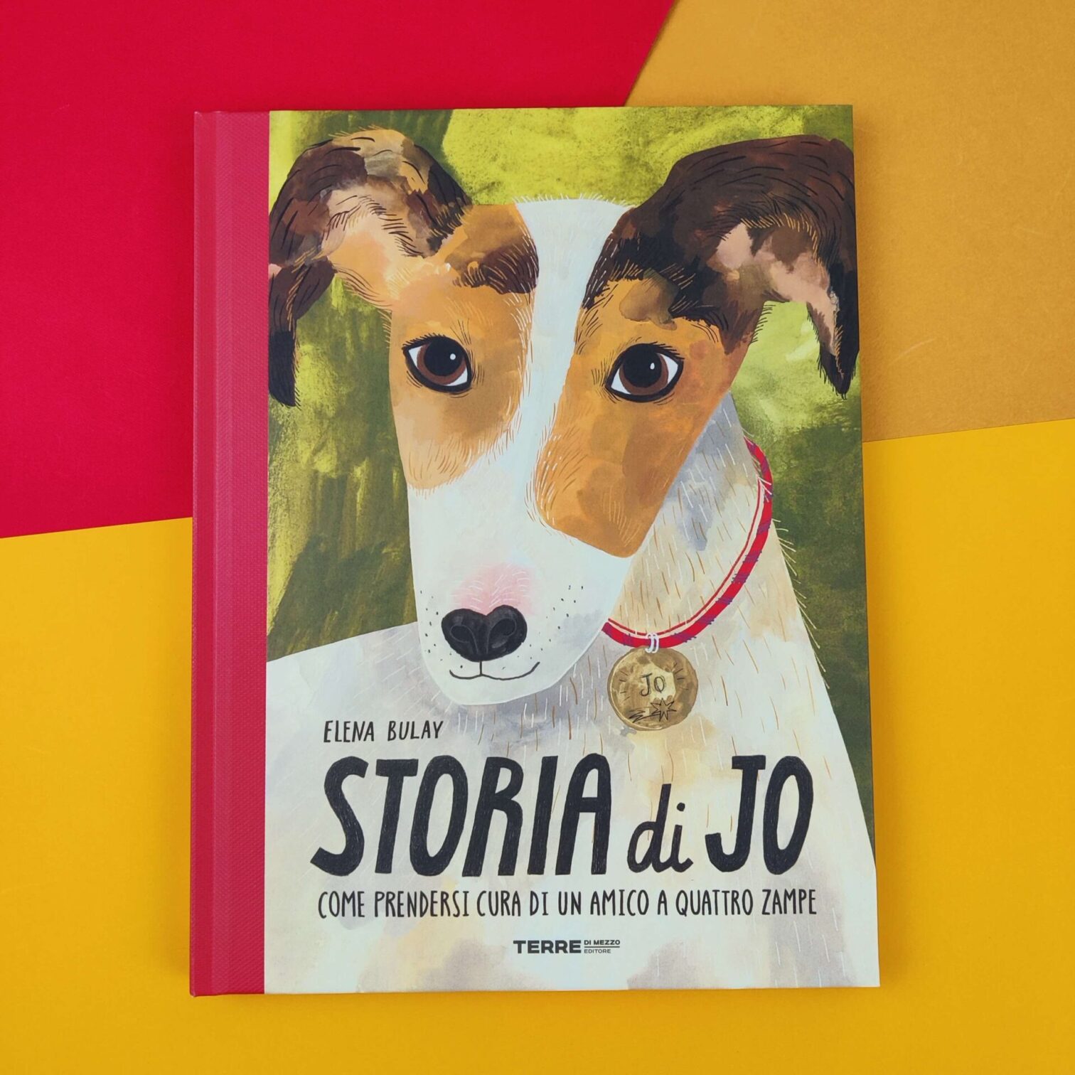 Storia di Jo