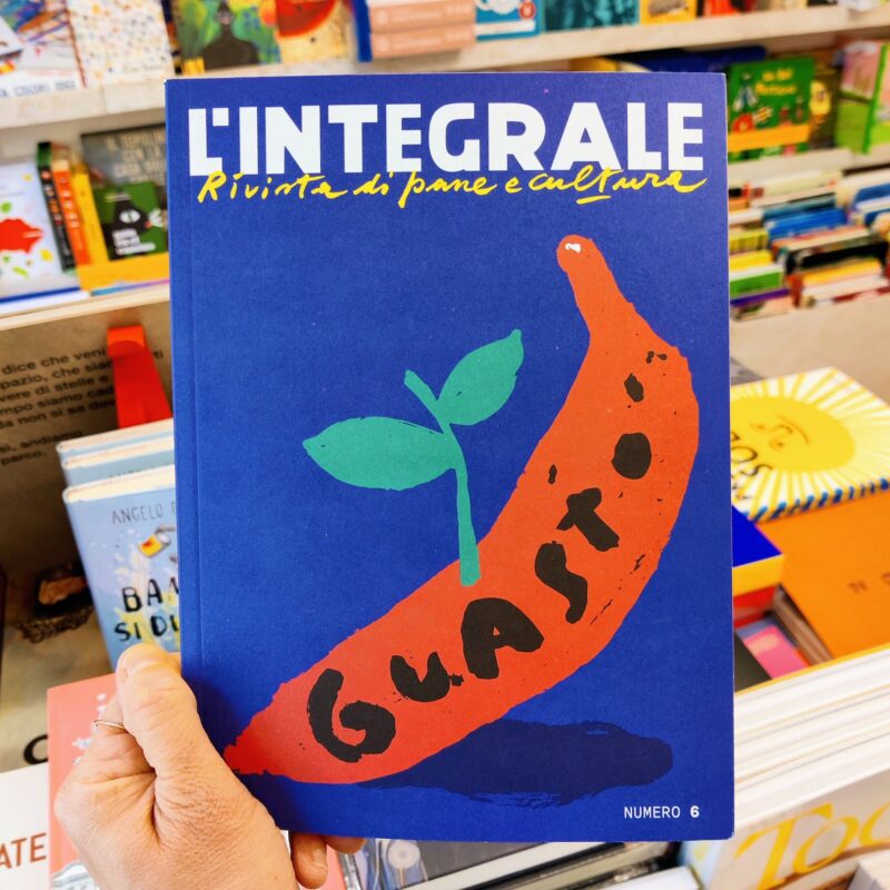 Integrale #6 – Guasto