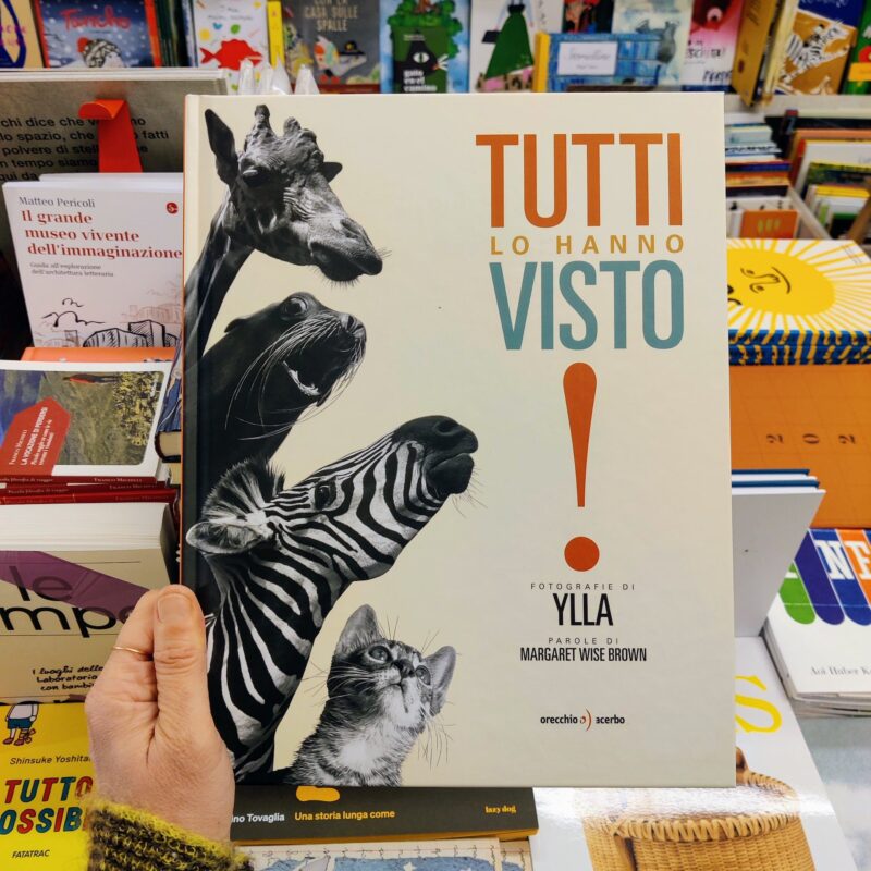 Tutti lo hanno visto!