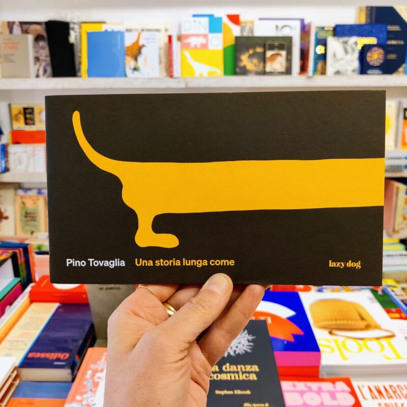 Una storia lunga come