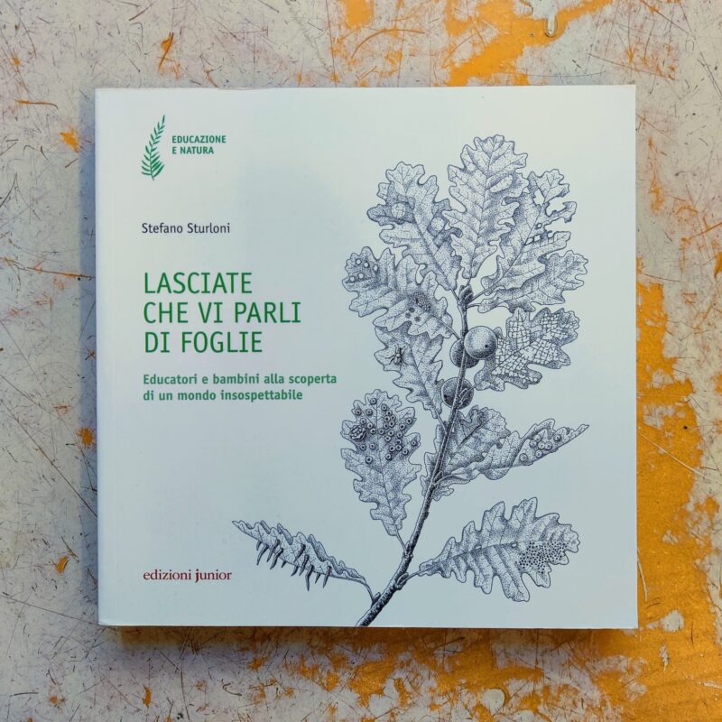 Lasciate che vi parli di foglie