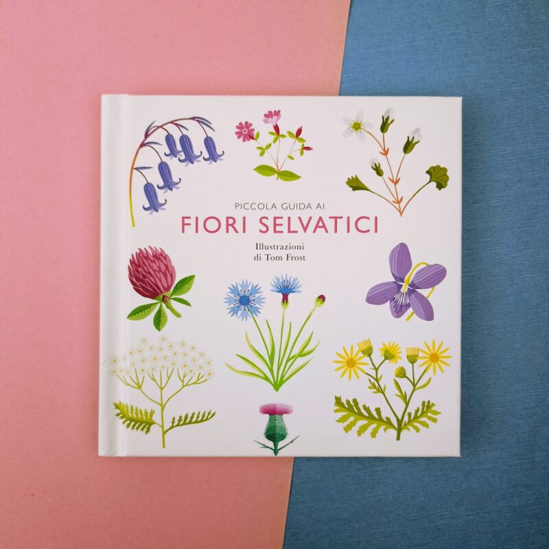 Piccola guida ai fiori selvatici
