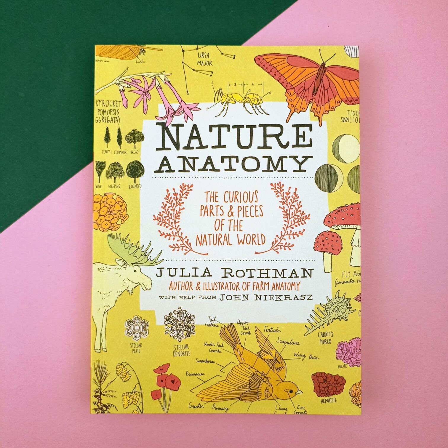 Nature anatomy
