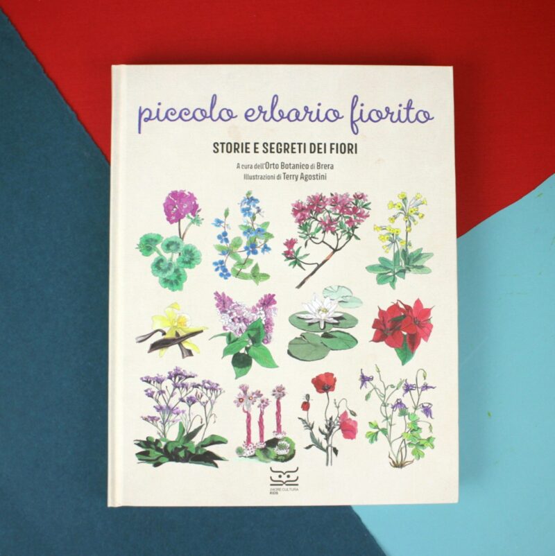 Piccolo erbario fiorito