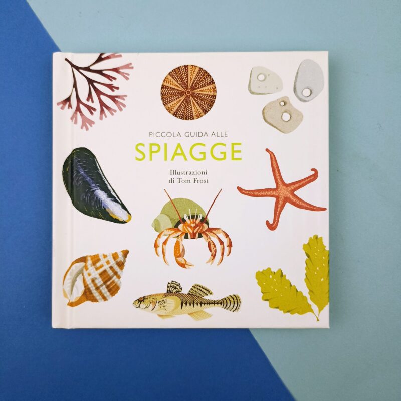 Piccola guida alle spiagge