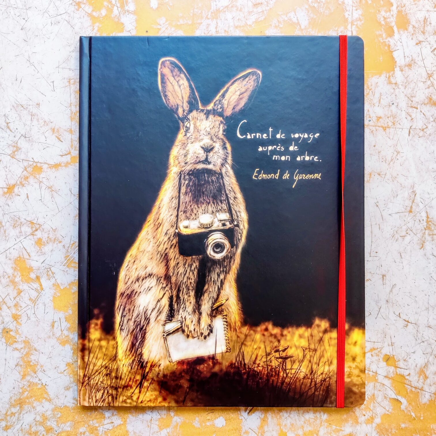 Carnet de voyage auprès de mon arbre: Le cahier naturaliste d’un lapin