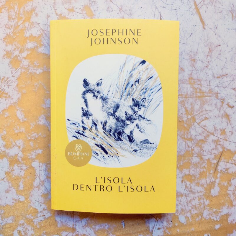 L’isola dentro l’isola