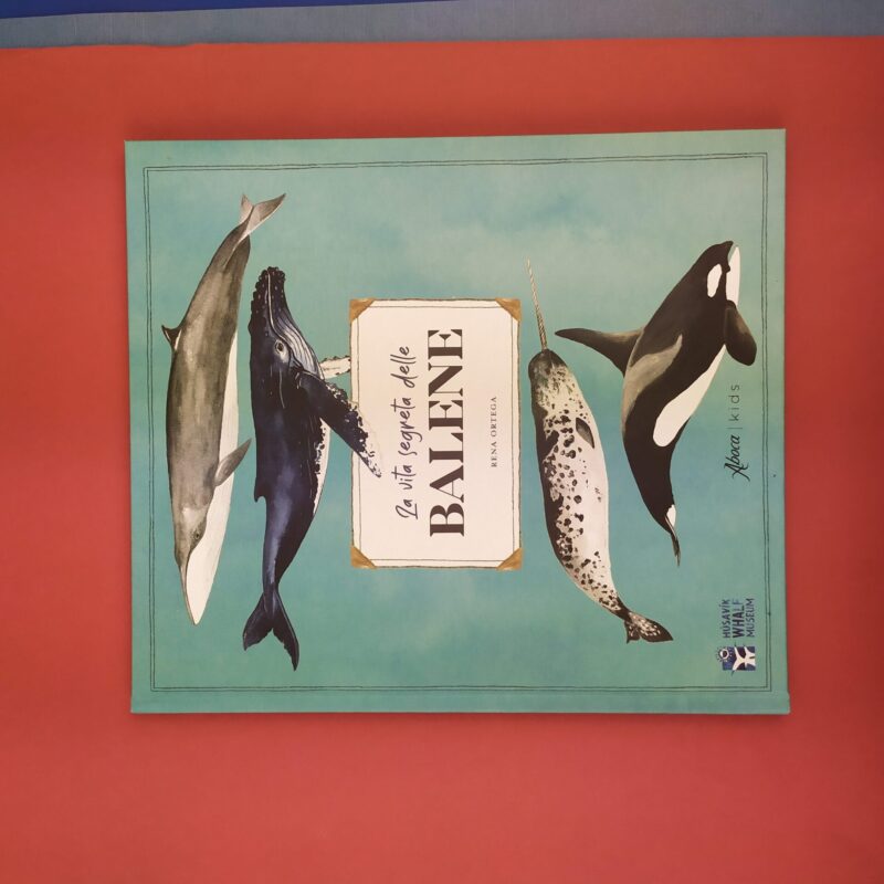 La vita segreta delle balene