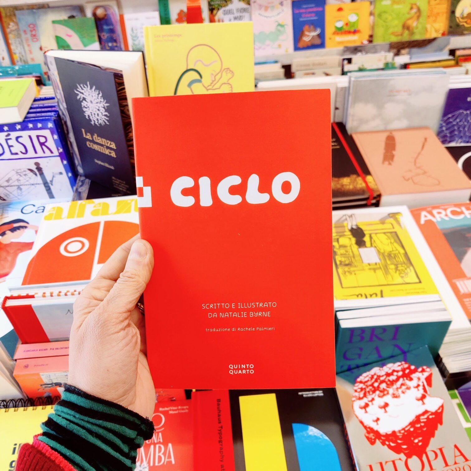 Ciclo