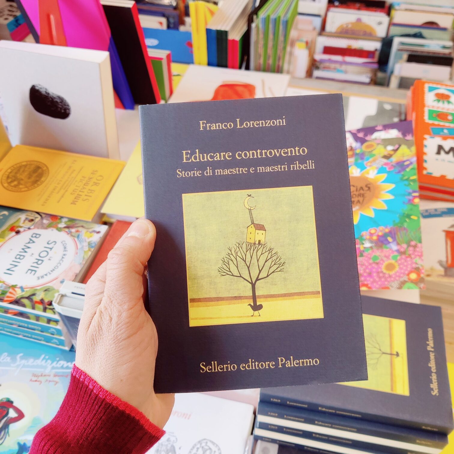 Educare controvento