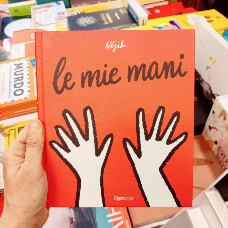 Le mie mani