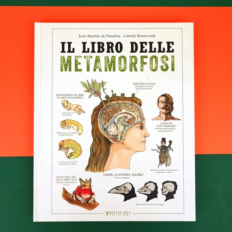Il libro delle metamorfosi