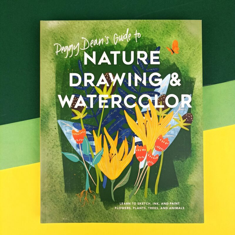 Nature drawing and watercolor