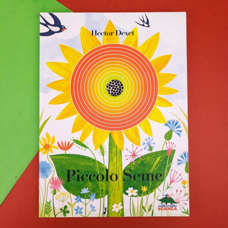Piccolo seme