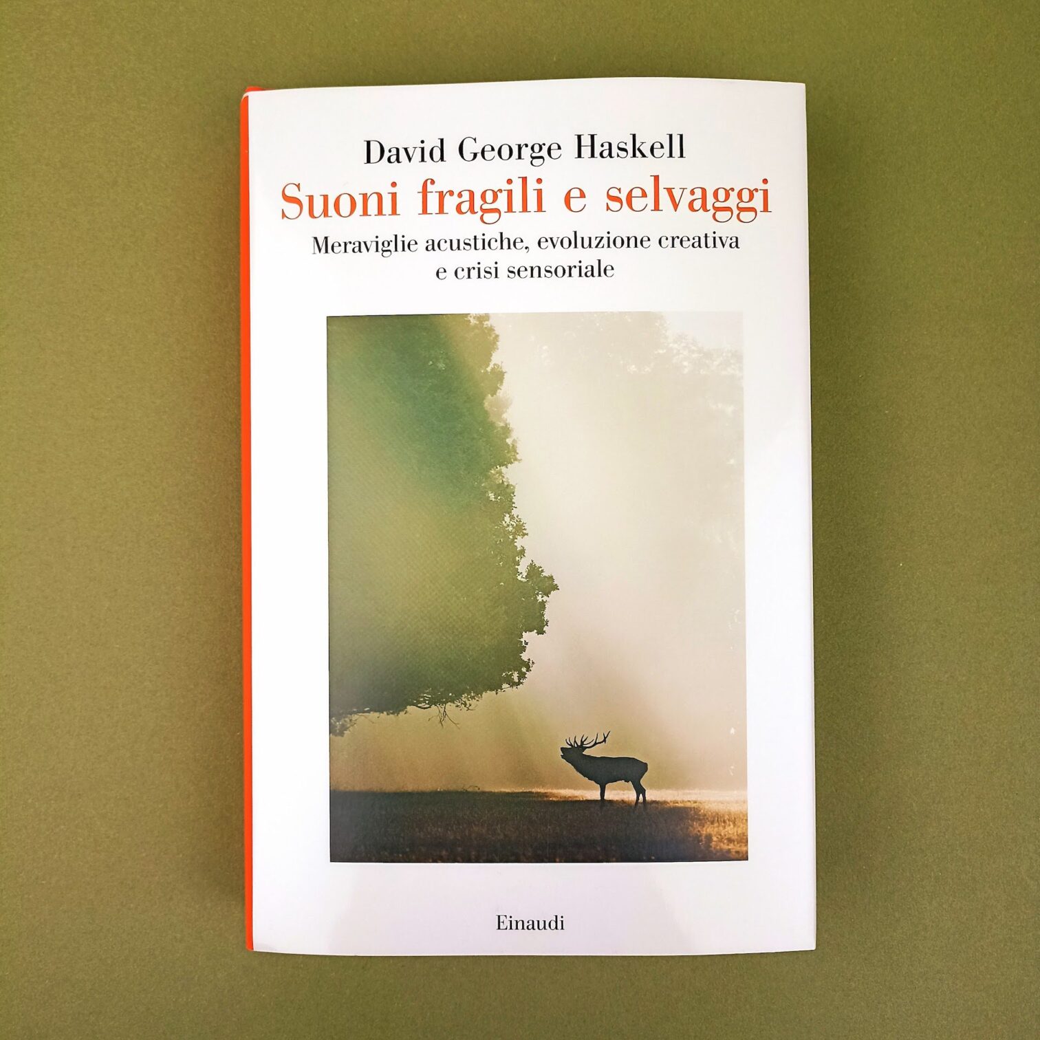 Suoni fragili e selvaggi