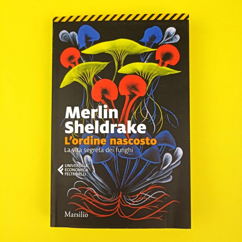 L’ordine nascosto