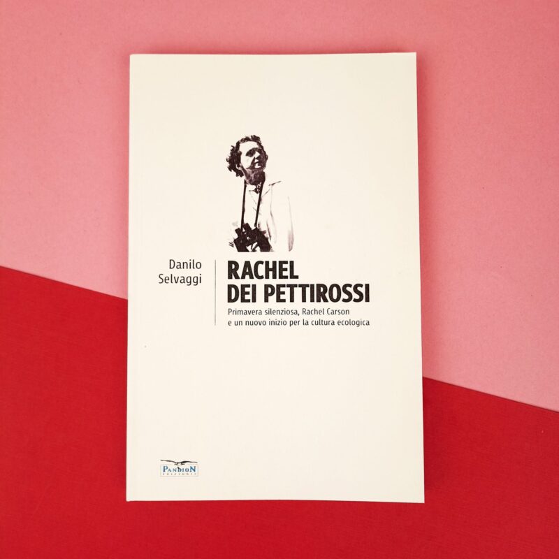 Rachel dei pettirossi