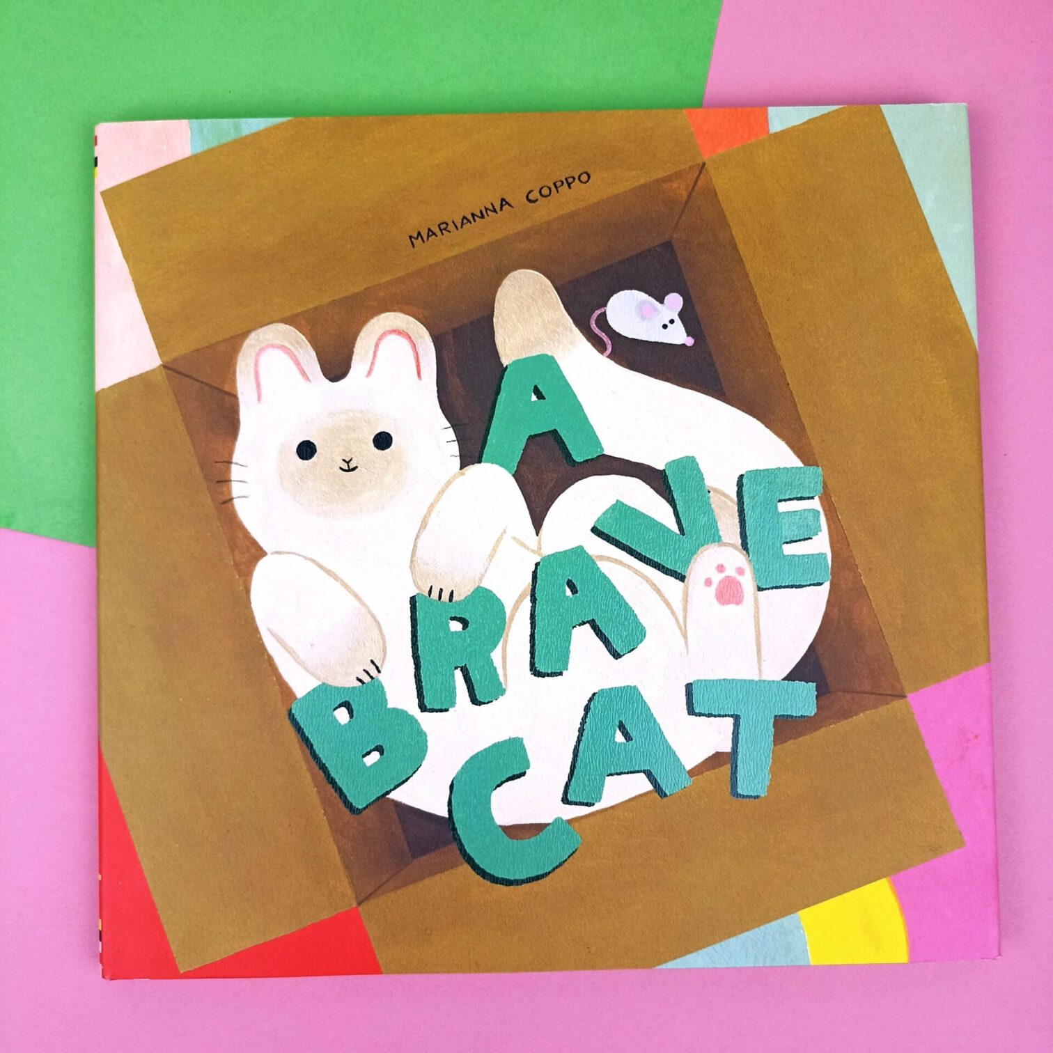 A brave cat