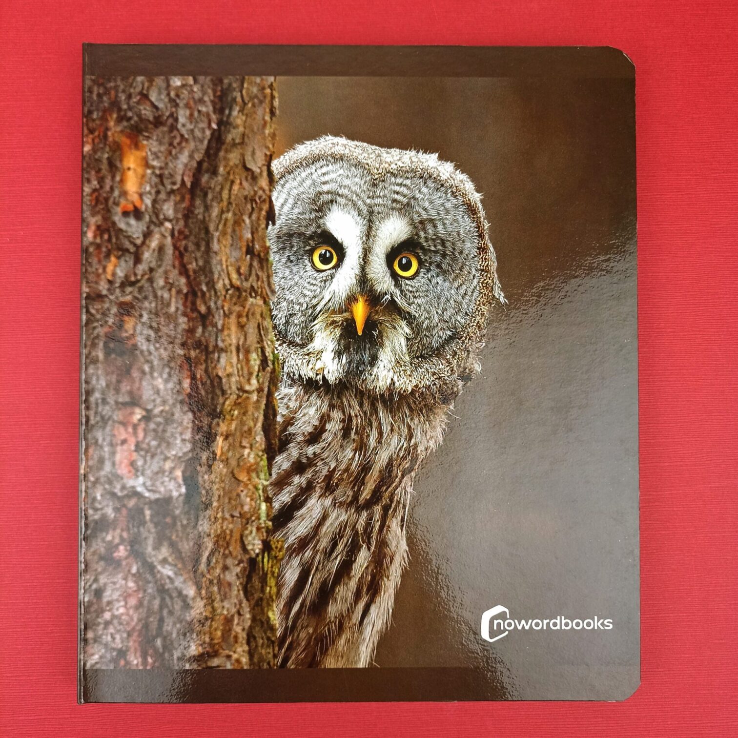 Animales del bosque