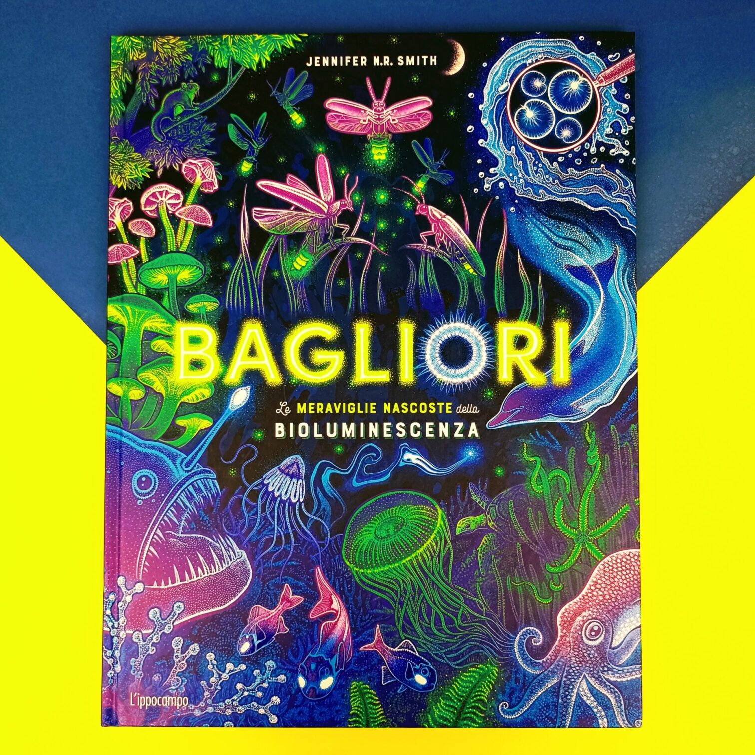 Bagliori