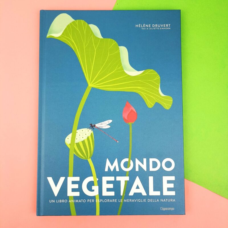 Mondo vegetale