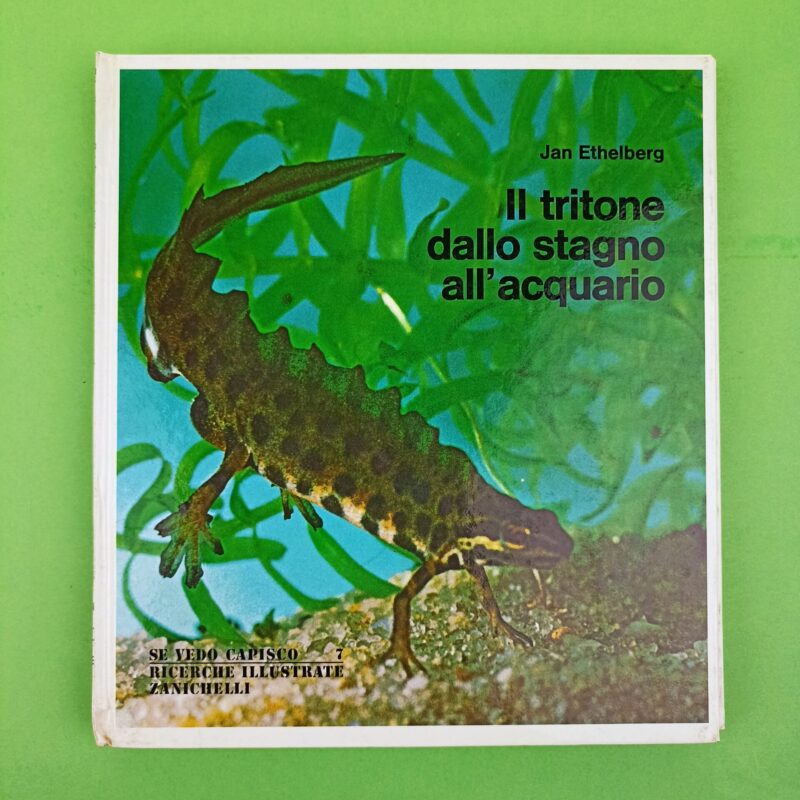 Il tritone dallo stagno all’acquario