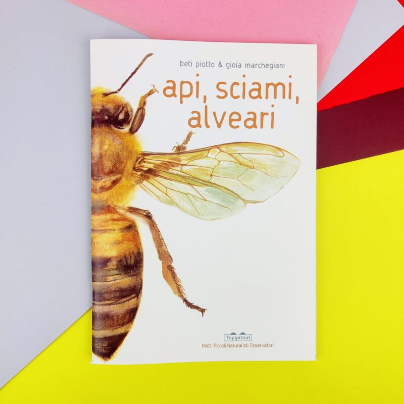 Api, sciami, alveari