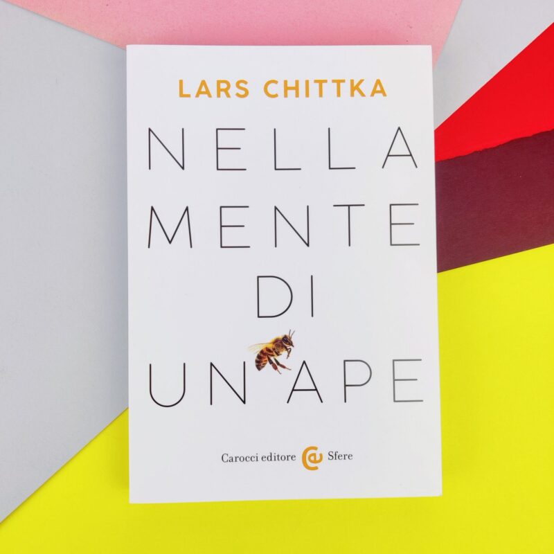 Nella mente di un’ape