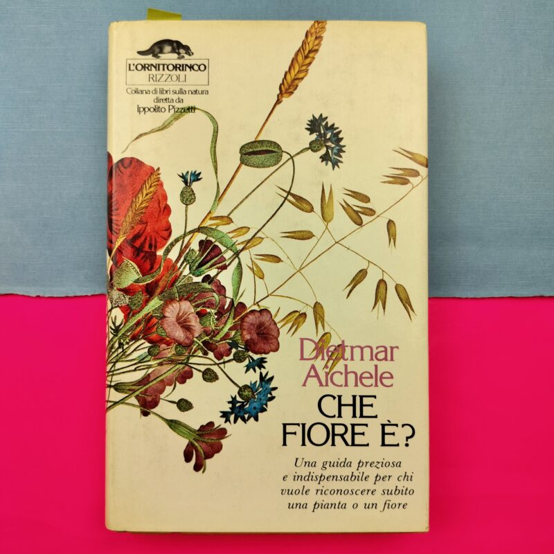 Che fiore è?