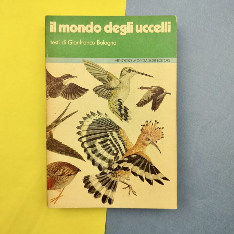 Il mondo degli uccelli