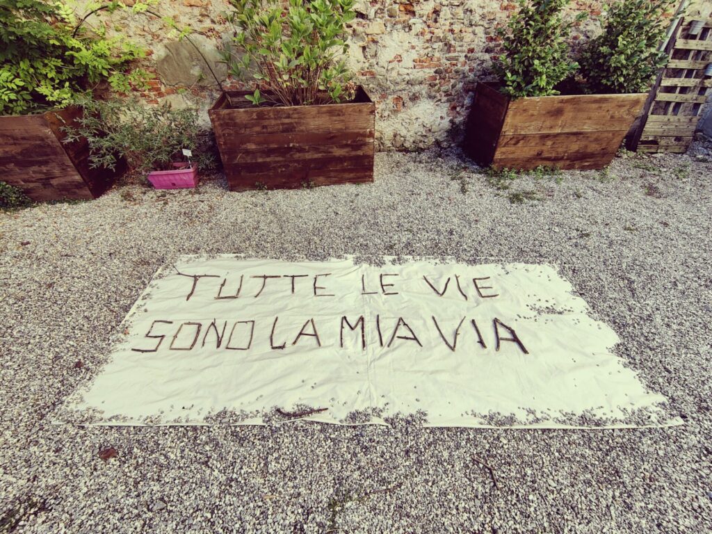 Immagina … Esseri leggeri