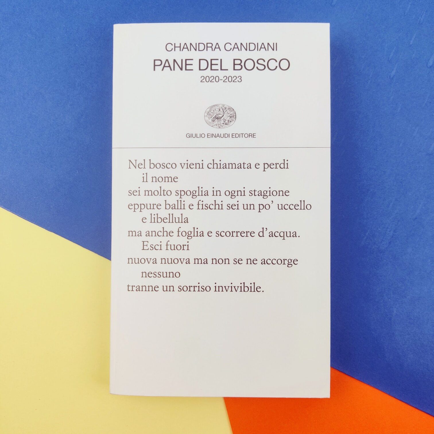 Pane del bosco