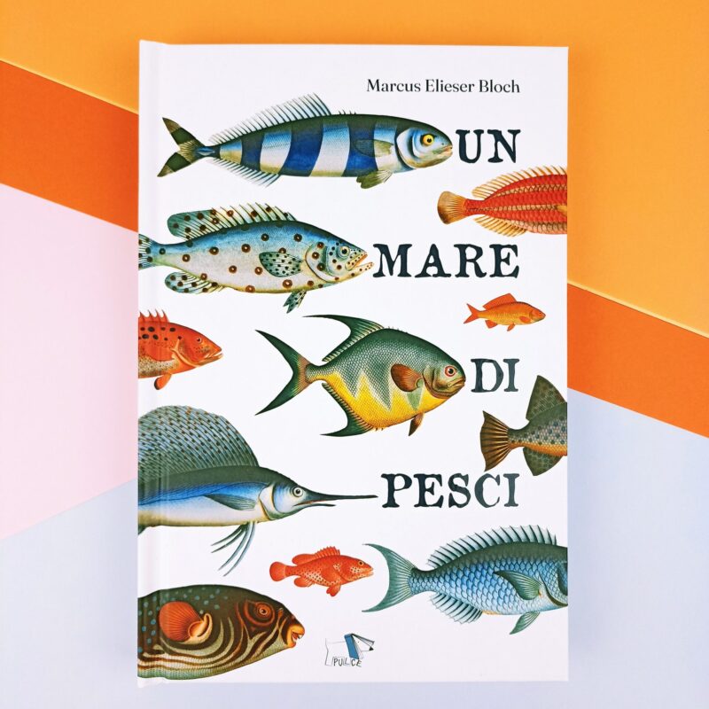 Un mare di pesci