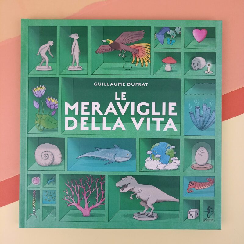 Le meraviglie della vita