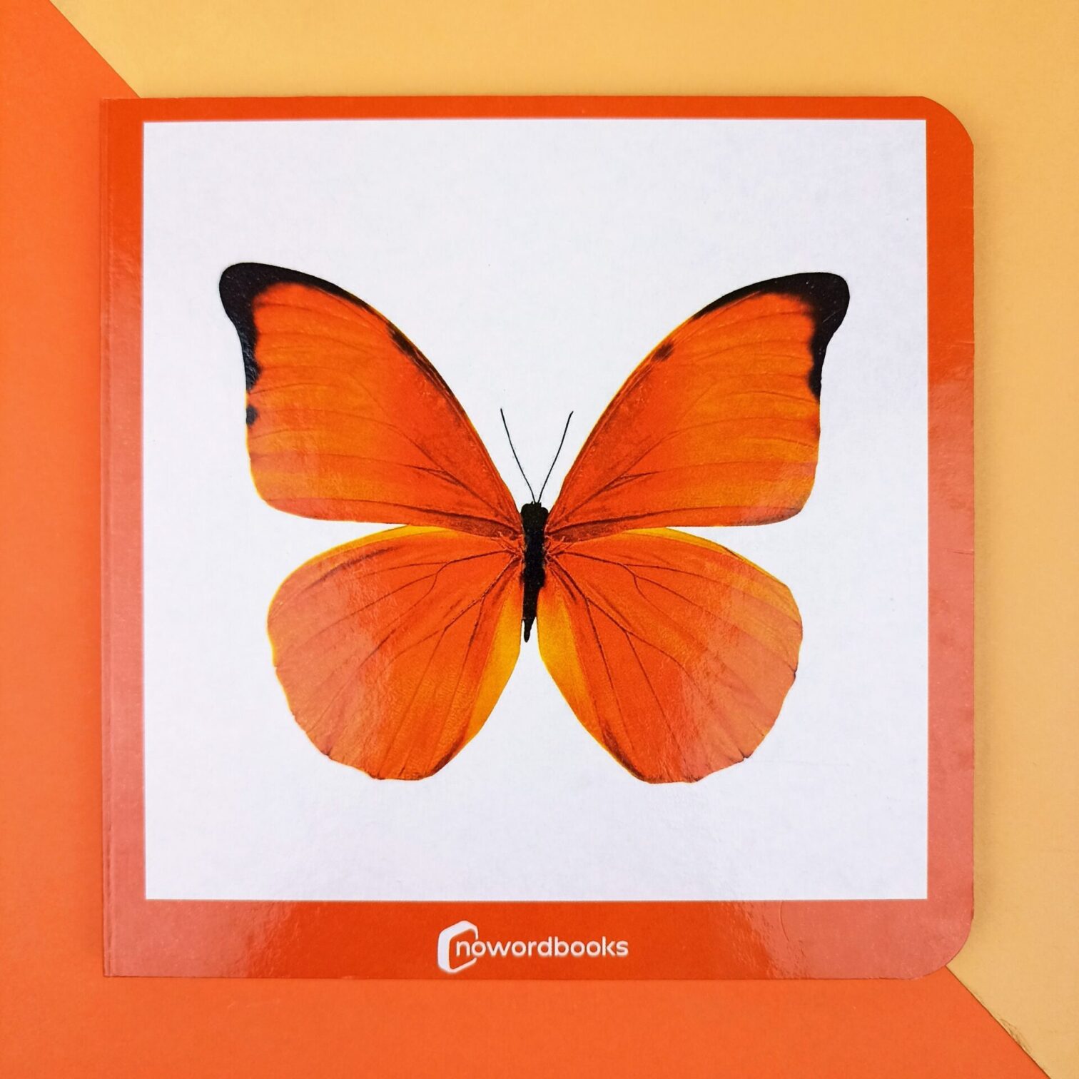 43. Naranja
