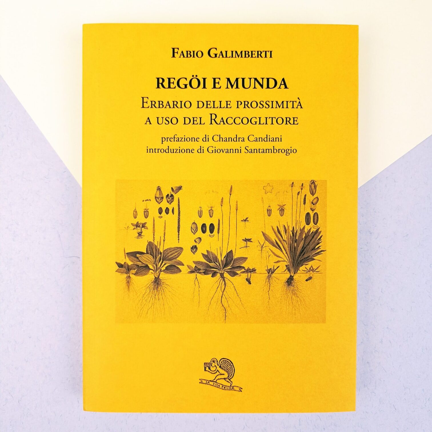 Regöi e munda