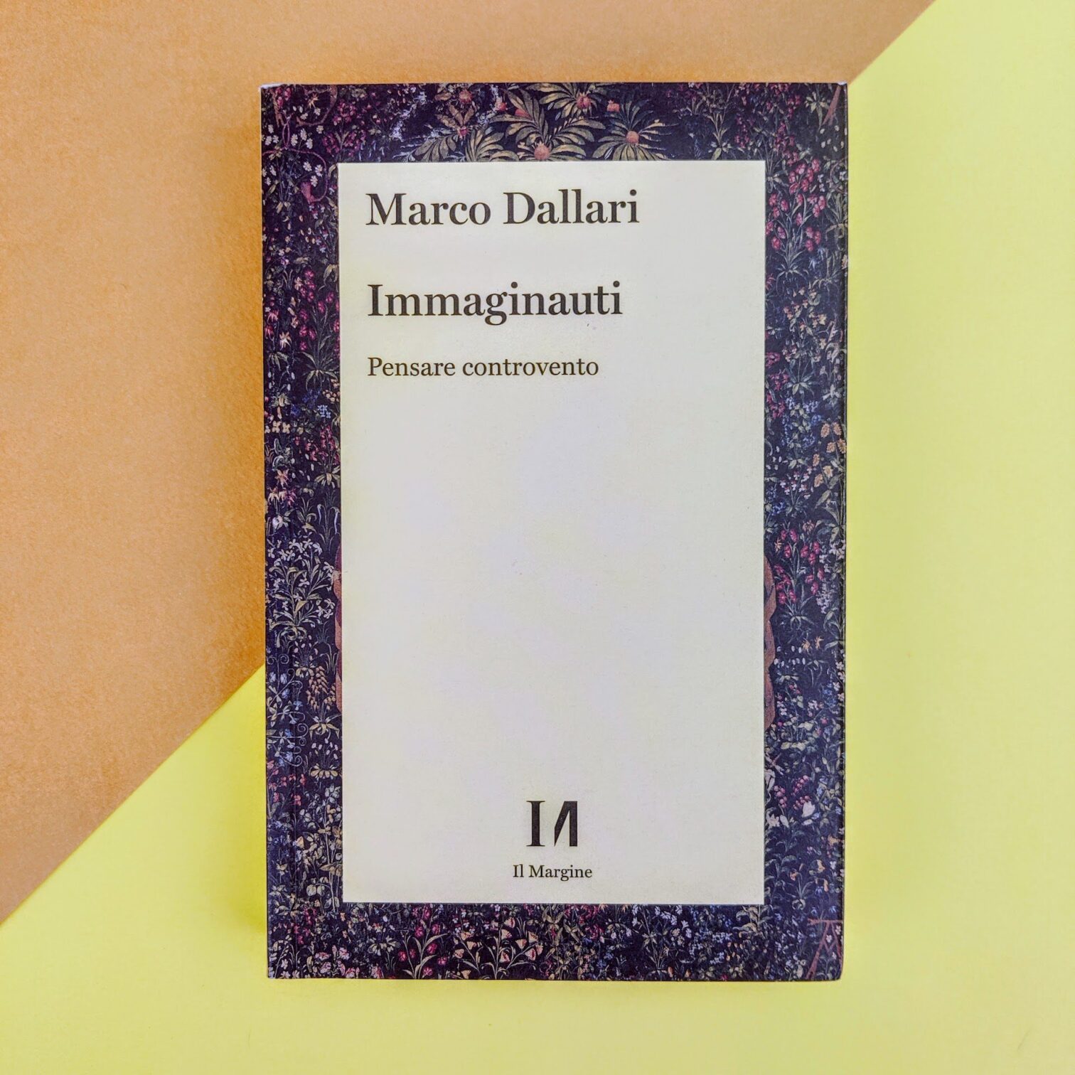Immaginauti