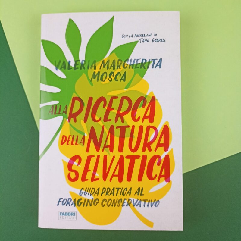 Alla ricerca della natura selvatica