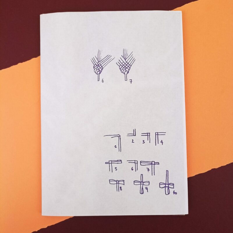 La domenica delle palme