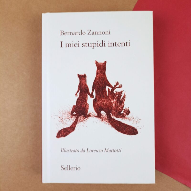 I miei stupidi intenti