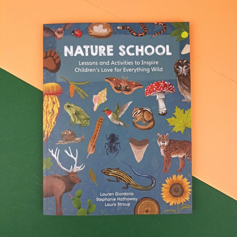 Nature school