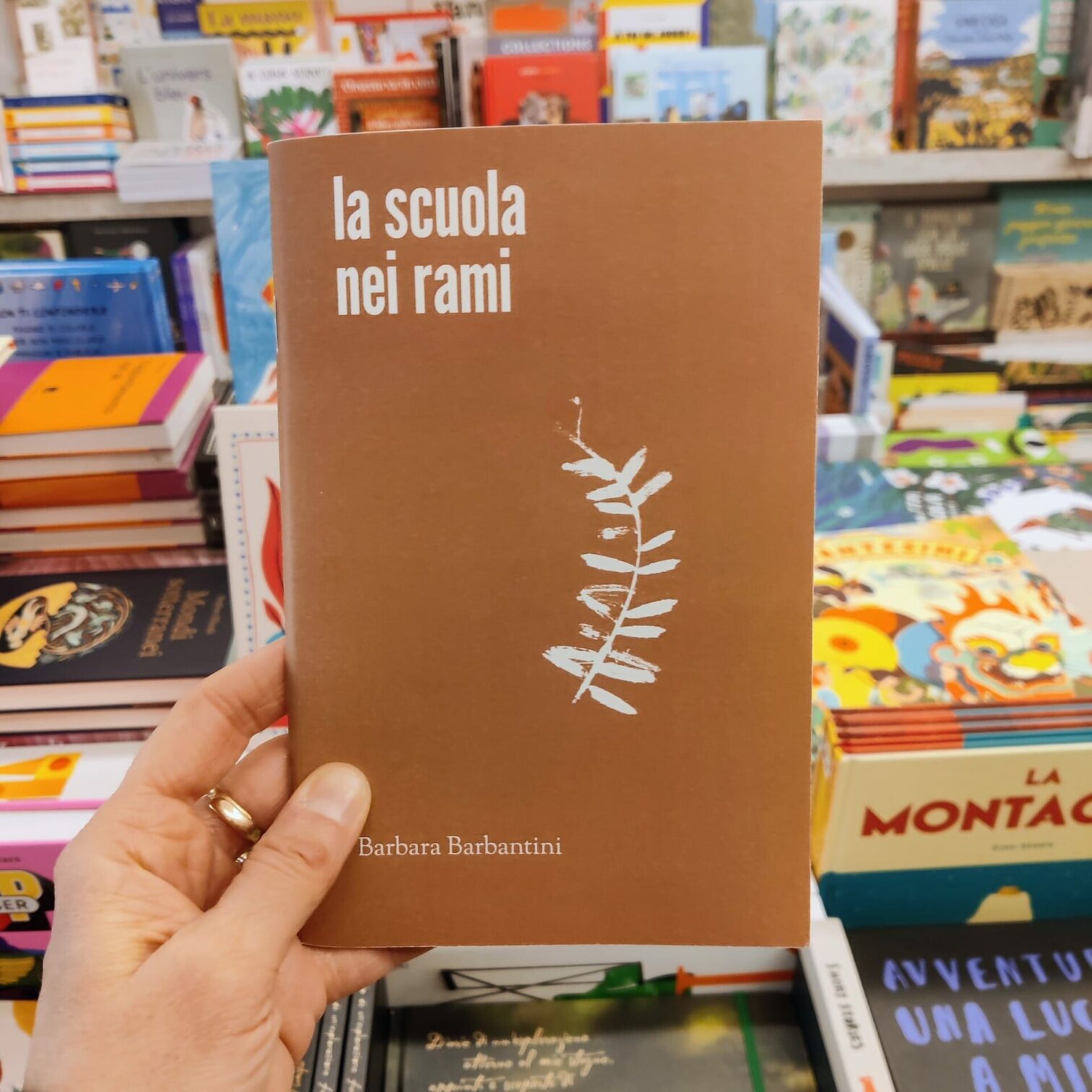 La scuola nei rami